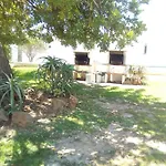 Garden *