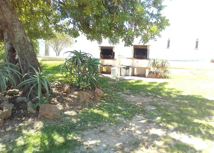 Garden *