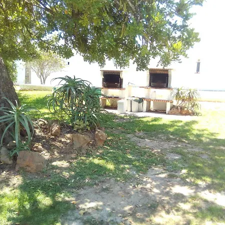 Garden *